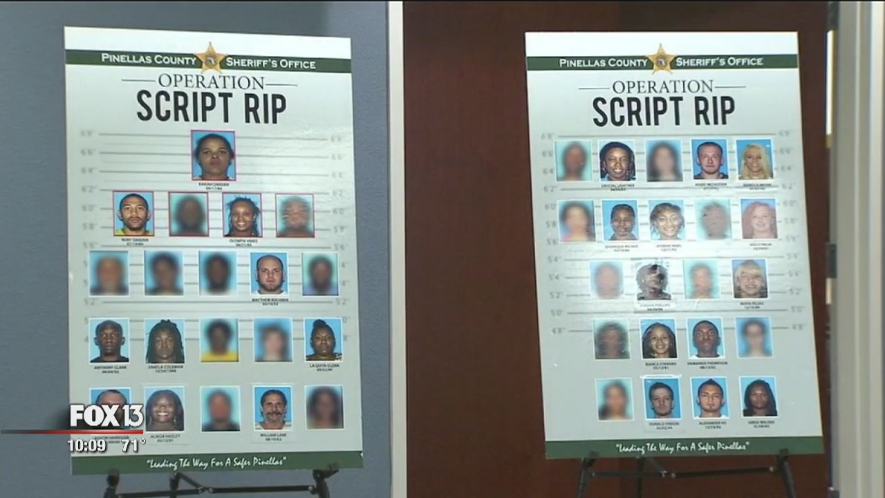 Pinellas prescription drug ring busted