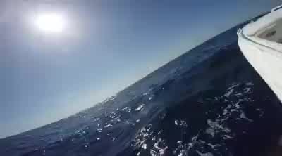 Teens encounter shark off coast of Florida