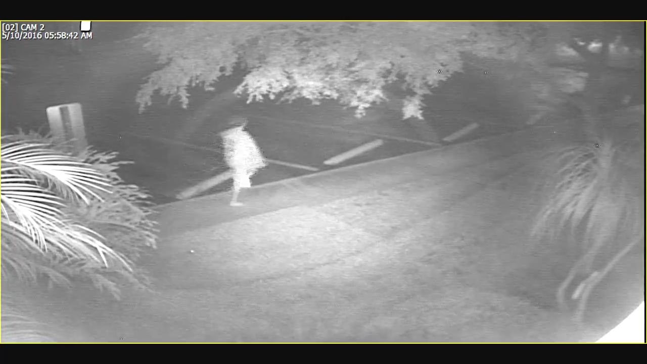 Jogger assault suspect caught on camera