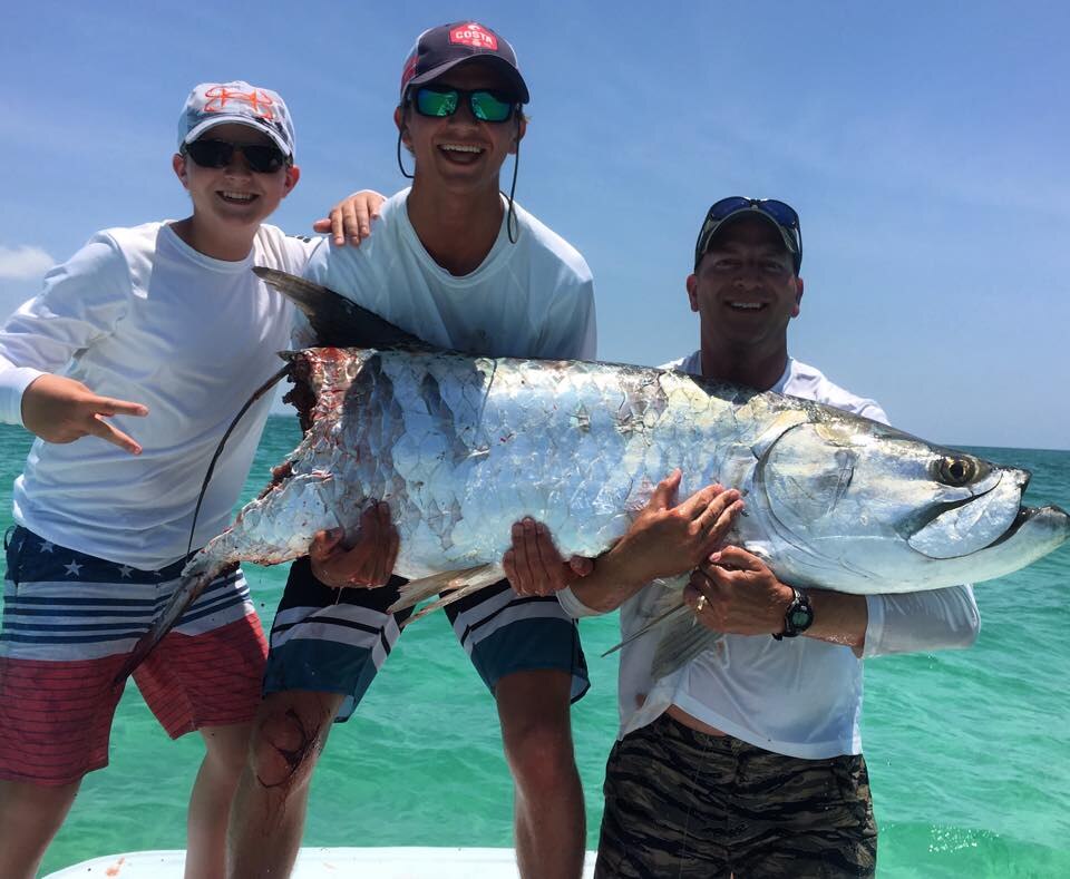 Hammerhead intercepts large Tarpon