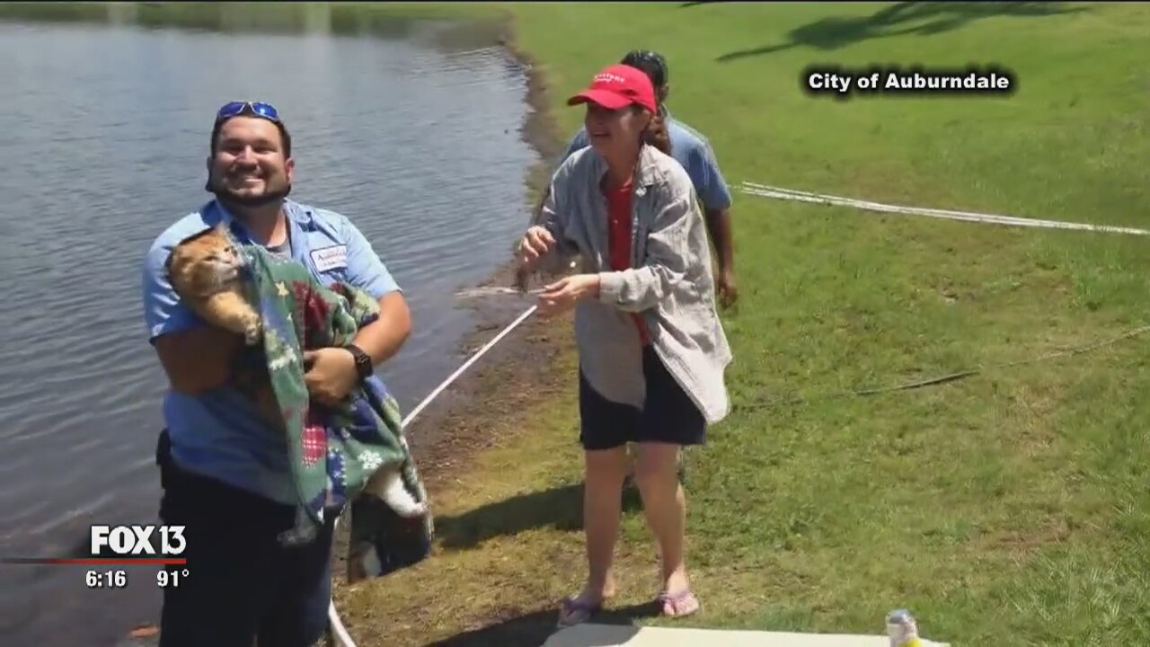 'MacGyvers of Auburndale' rescue cat from pipe
