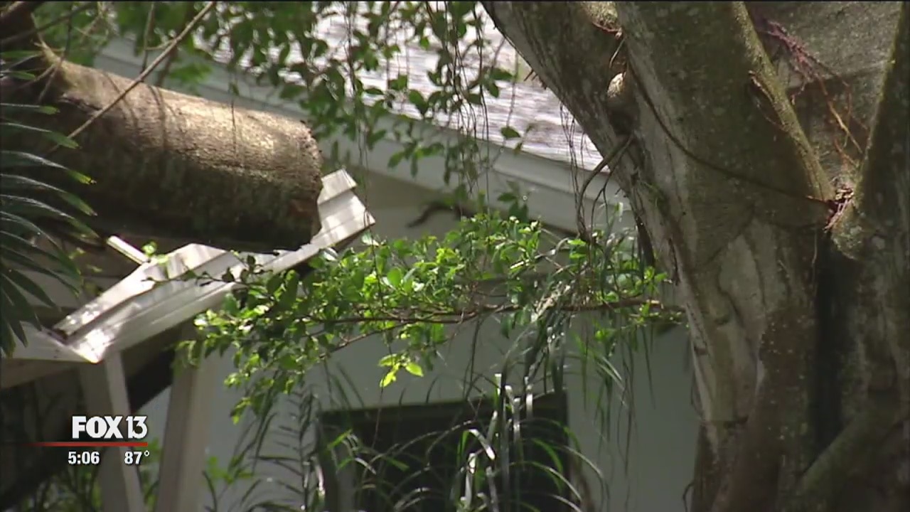 St. Pete residents worry Colin beginning of wet summer