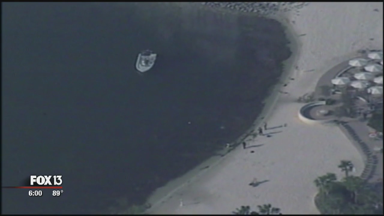 Toddler killed by alligator at Disney resort