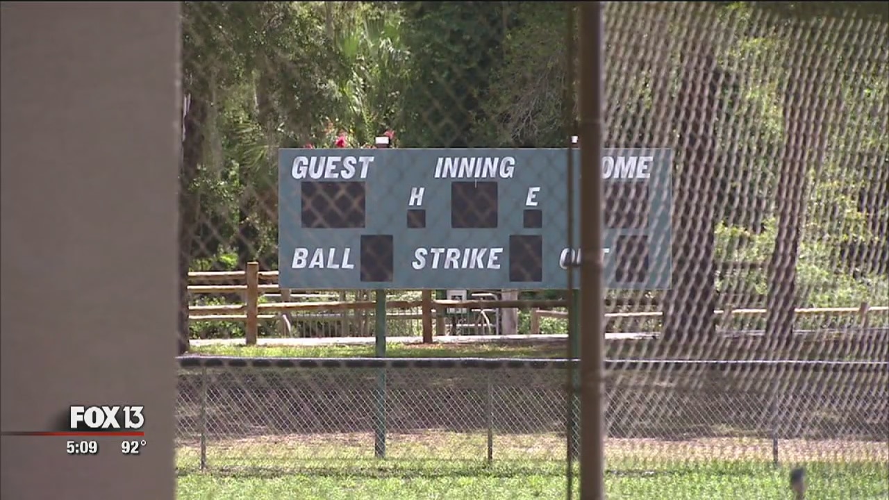Little league president arrested for theft