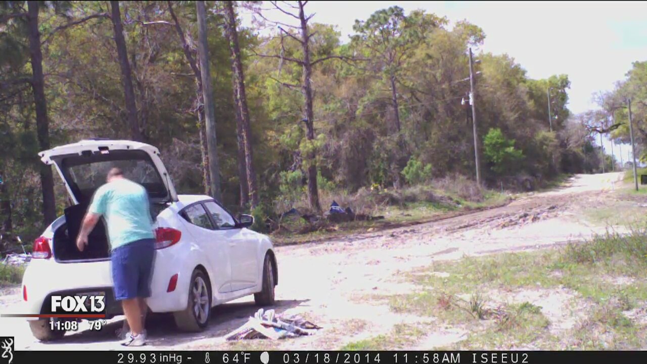 Reward offered for tips leading to illegal dumping