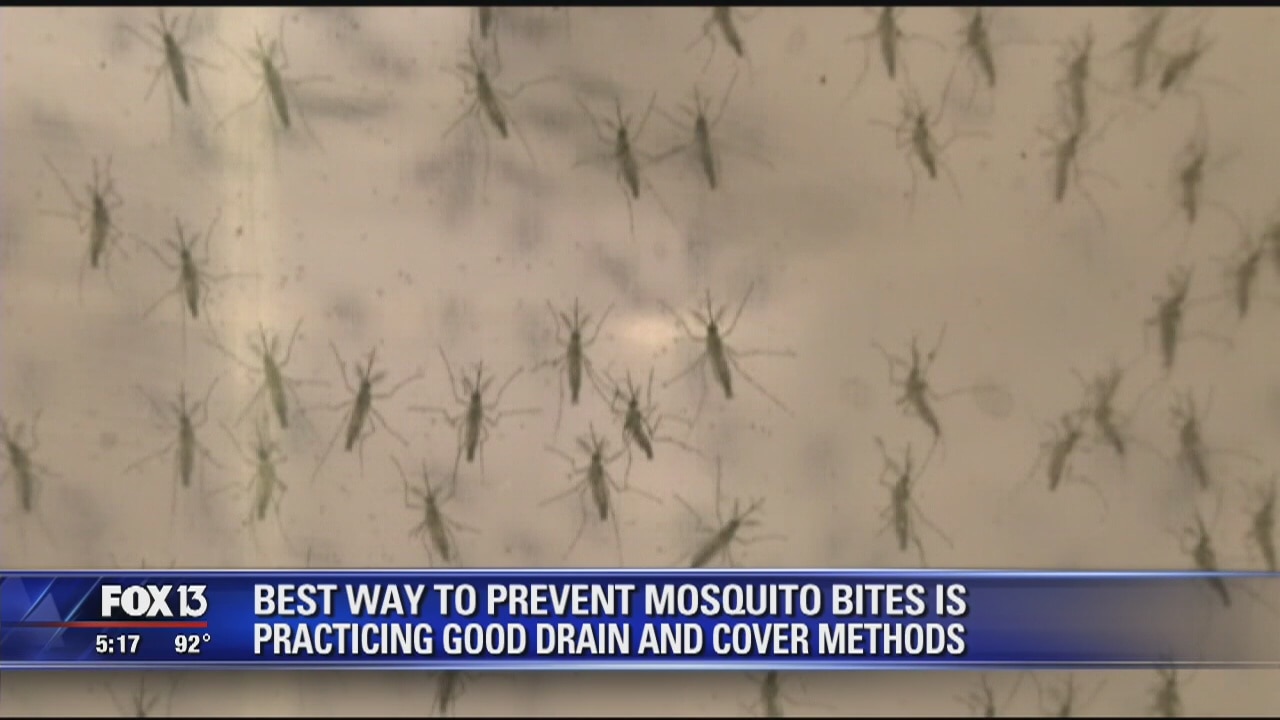 Possible 'homegrown' Zika case