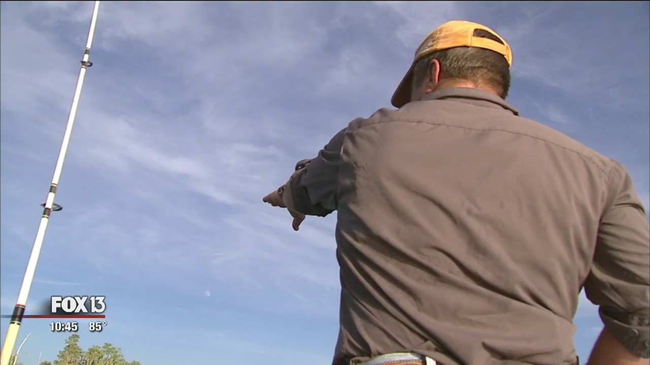 Alligator hunting season begins