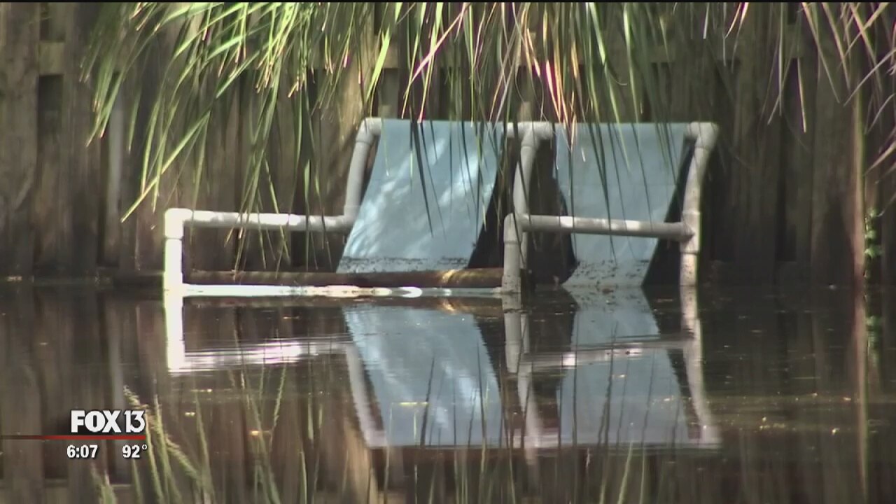 Pasco looks toward preventing more floods