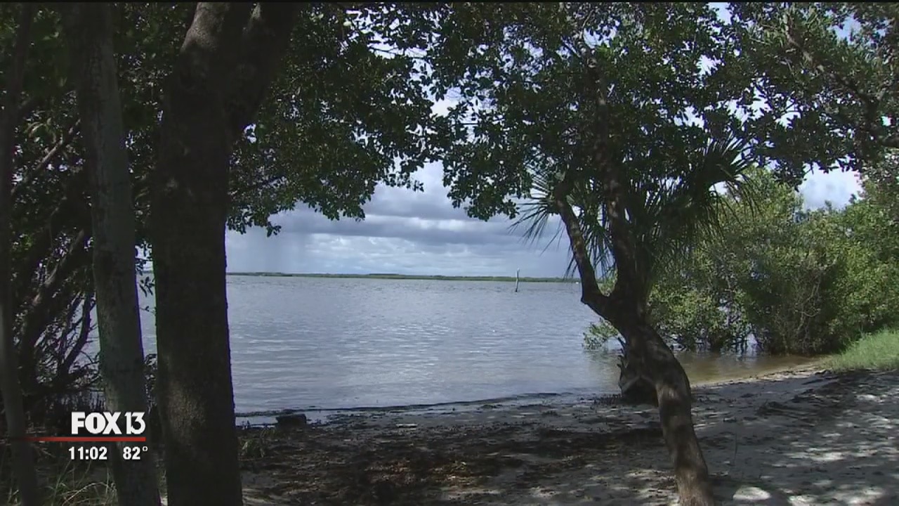 Dead animals, fruit, flowers found near beach