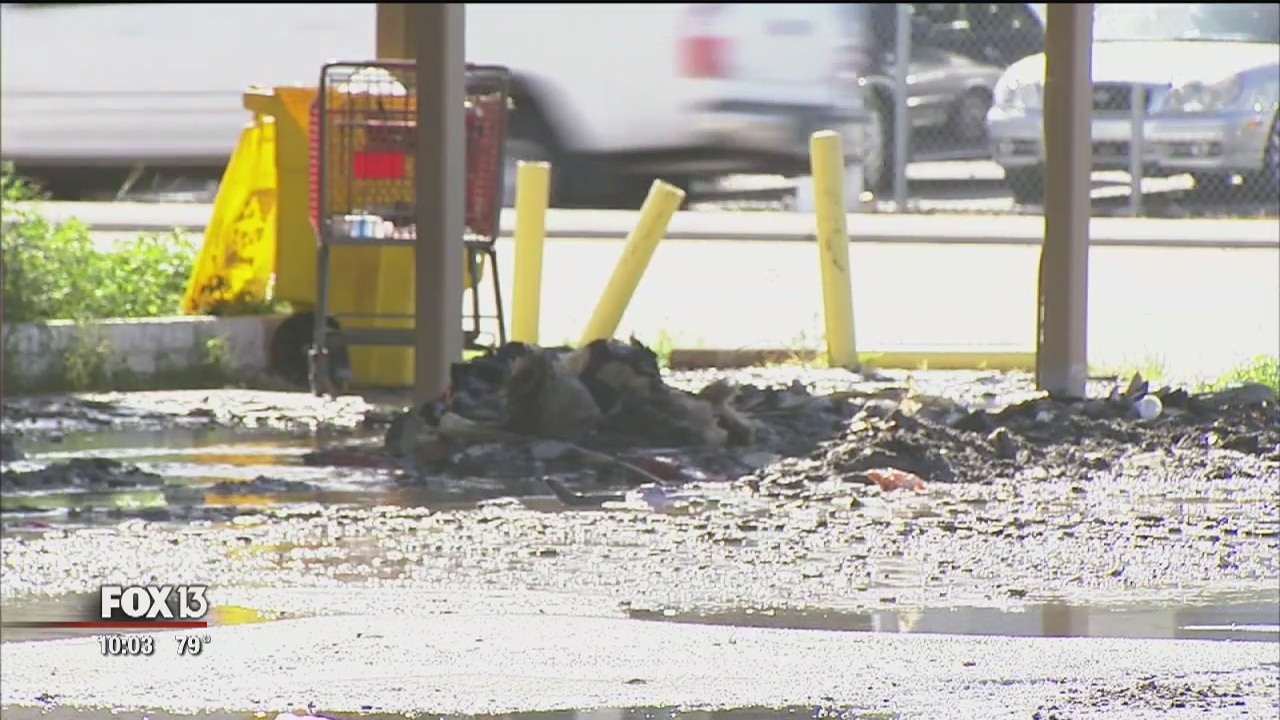 Electrical malfuction caused grocery store fire