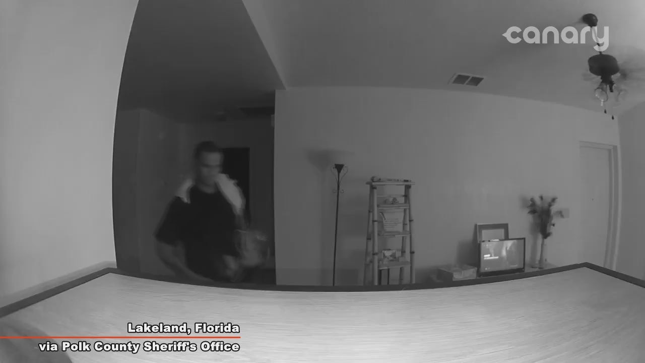 Raw: Apartment burglary