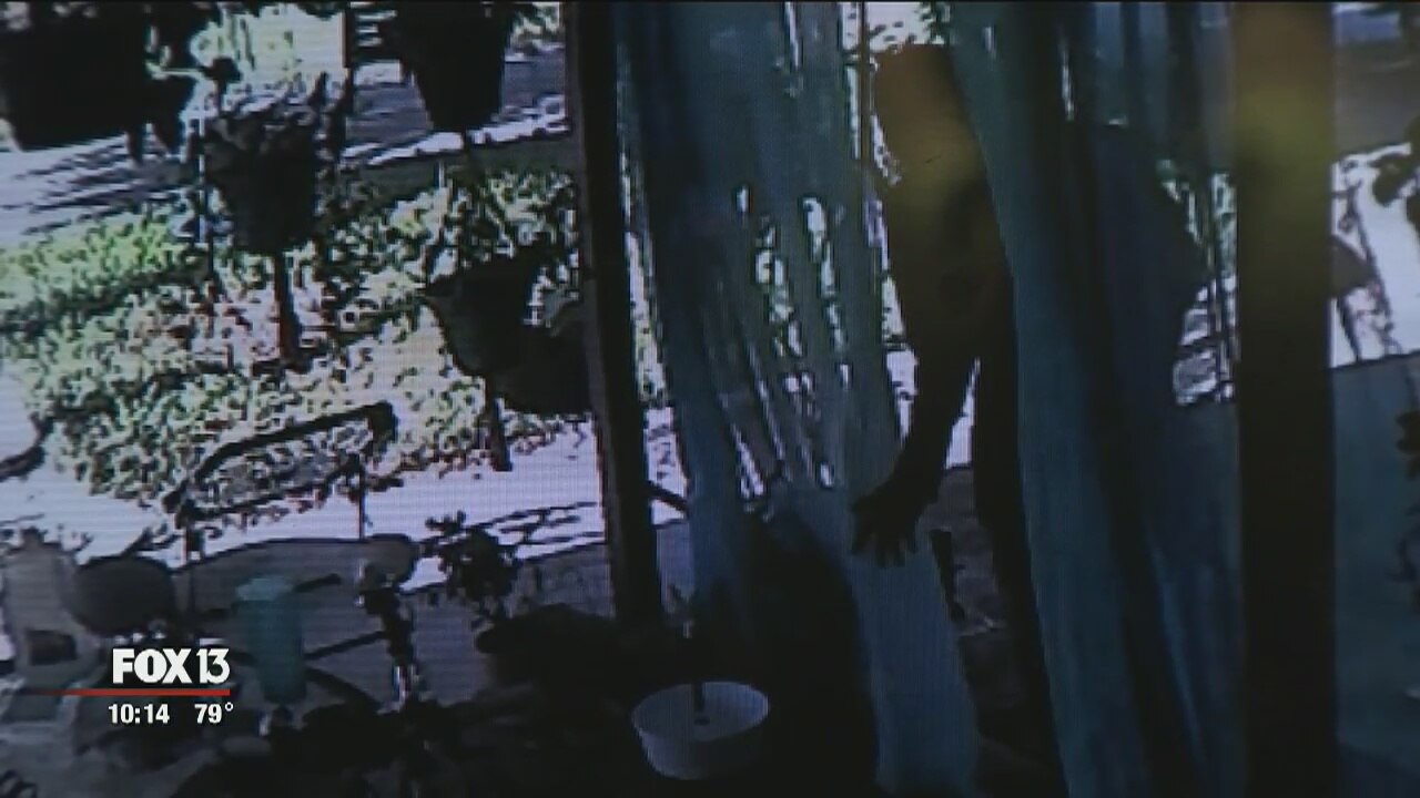 Bike theft common problem in Tampa