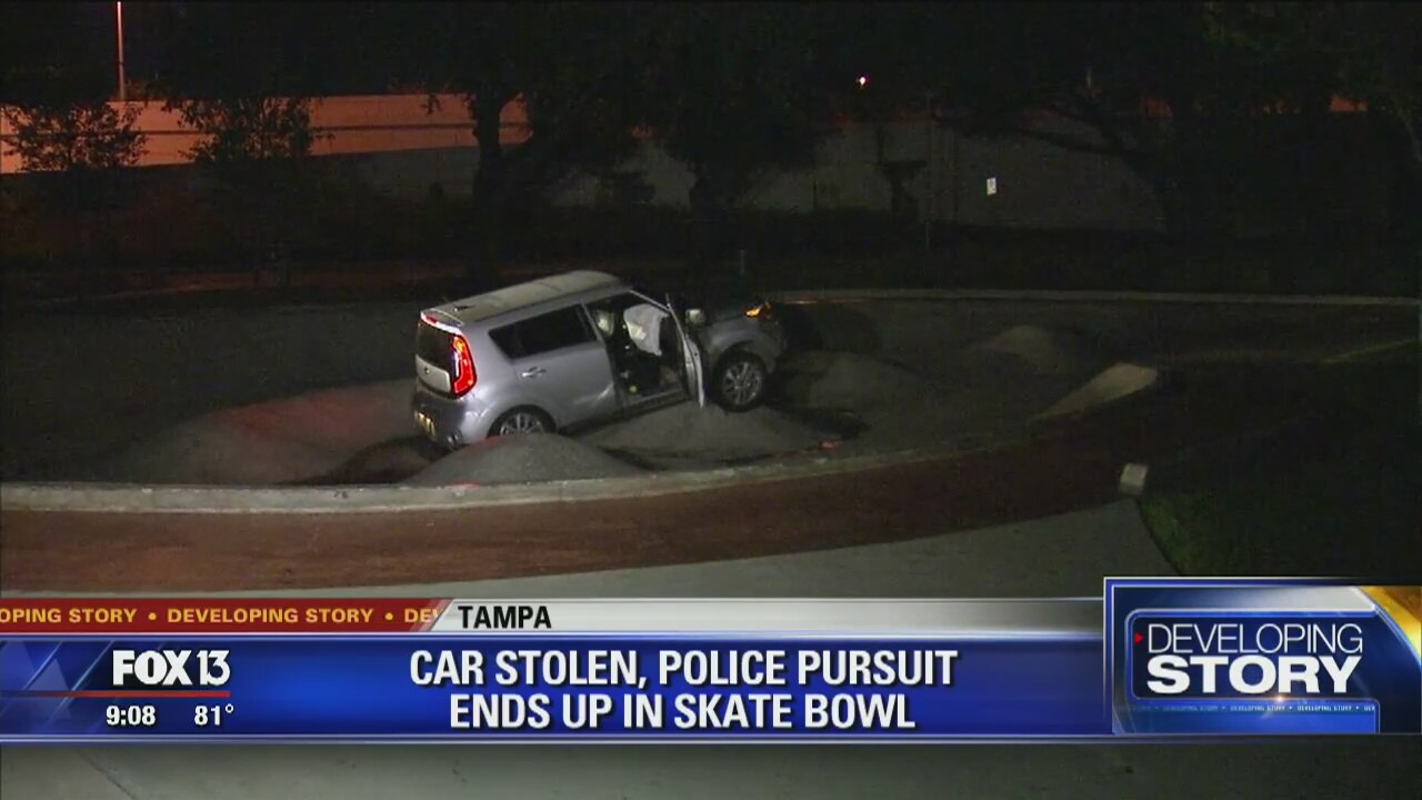 Chase ends in skate park