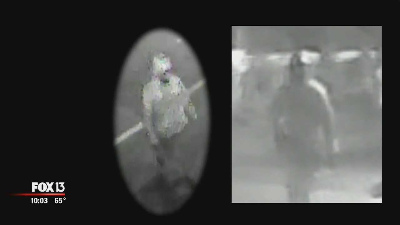 Seminole Heights reward nears $100K