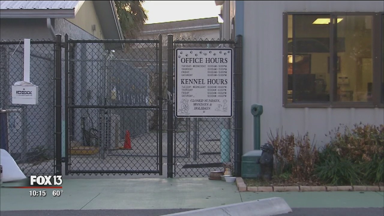 Illness closes Citrus Animal Services shelter