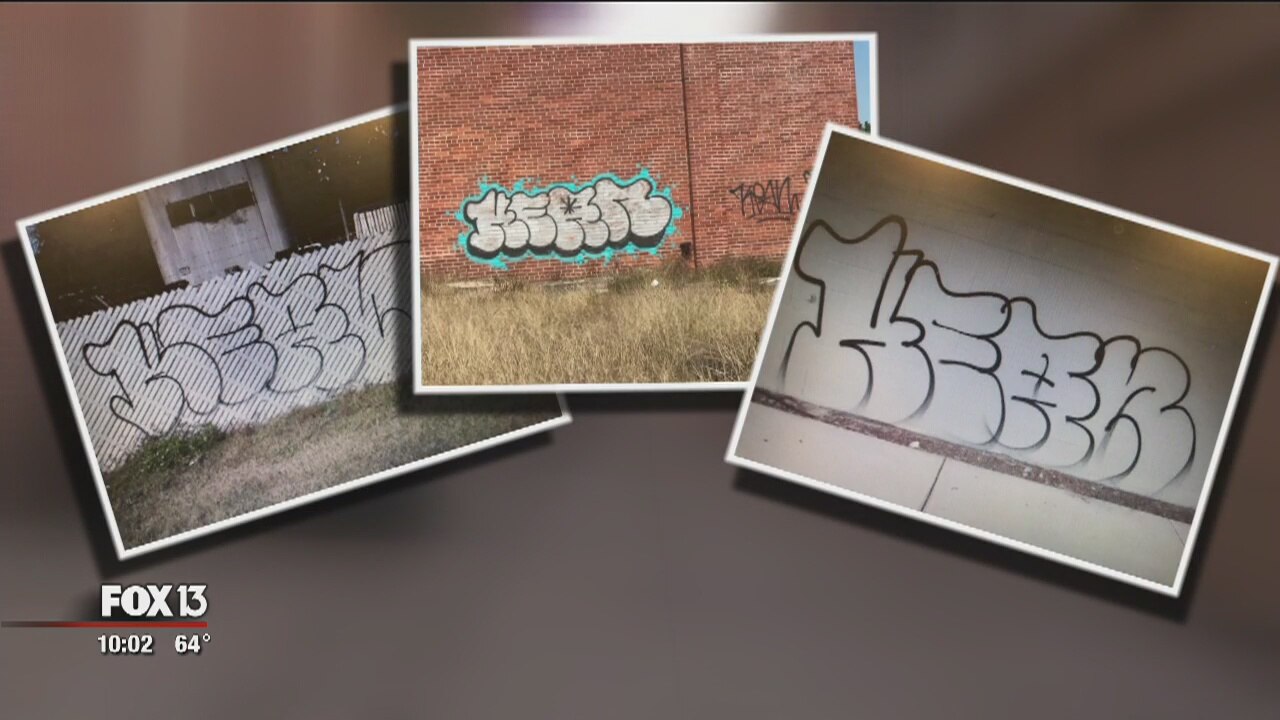 Vandal defacing spots around Lakeland
