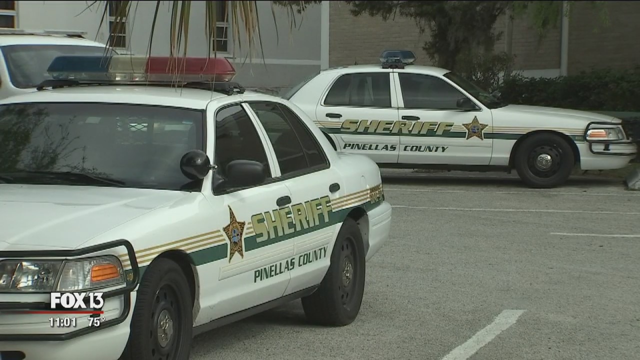Arrest made in attempted abduction of Dunedin child
