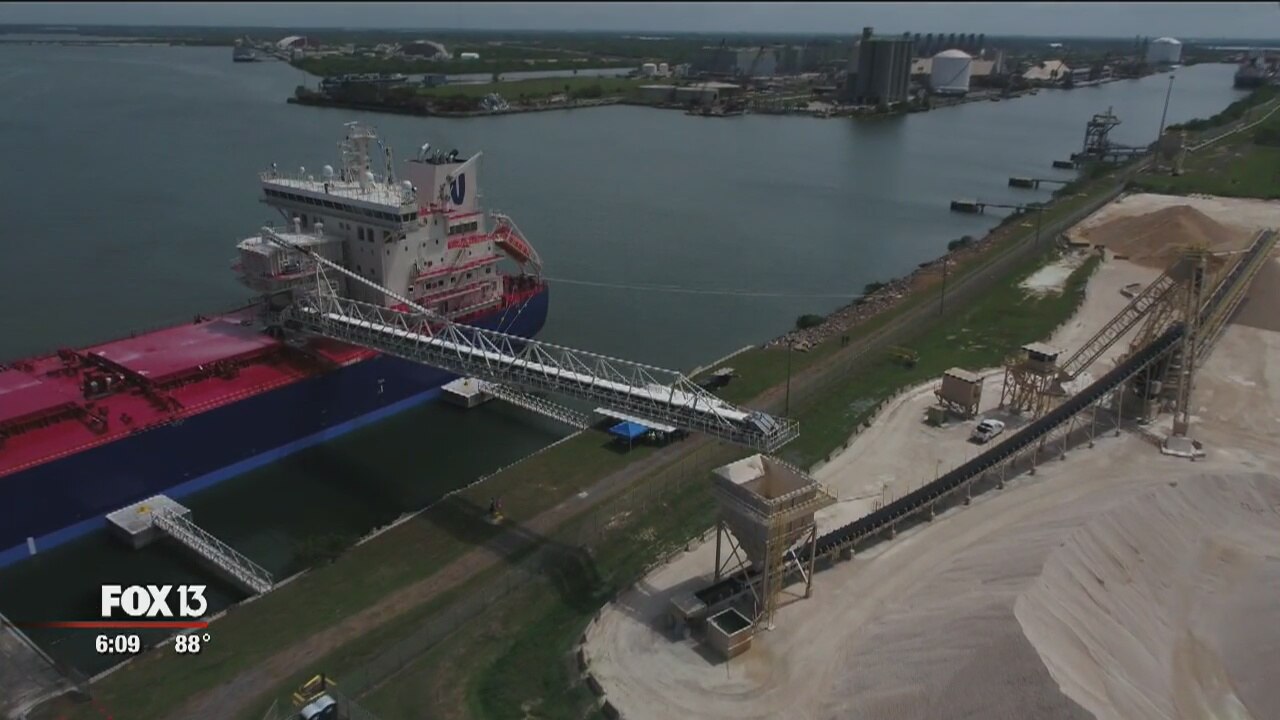 Large cargo ship arrives in Tampa
