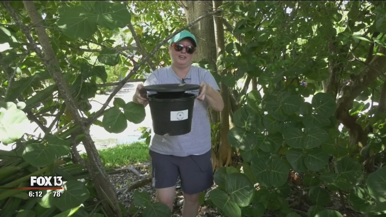 Manatee Co. using new mosquito traps