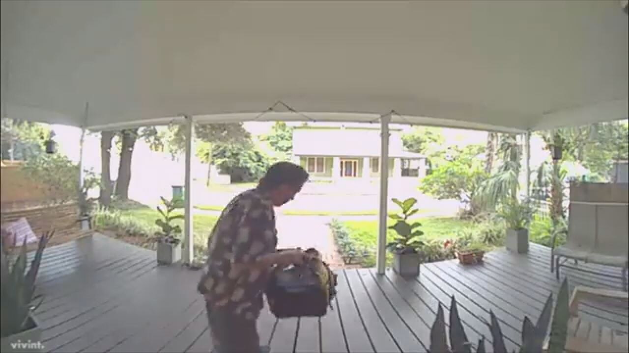 Tampa porch pirate suspect
