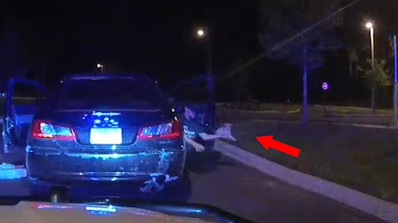 Adorable puppy exits car with suspects