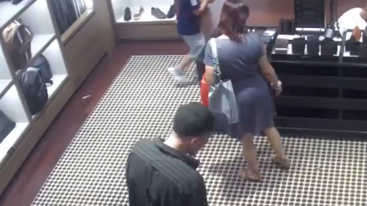 Pasco deputies search for shoplifting suspects