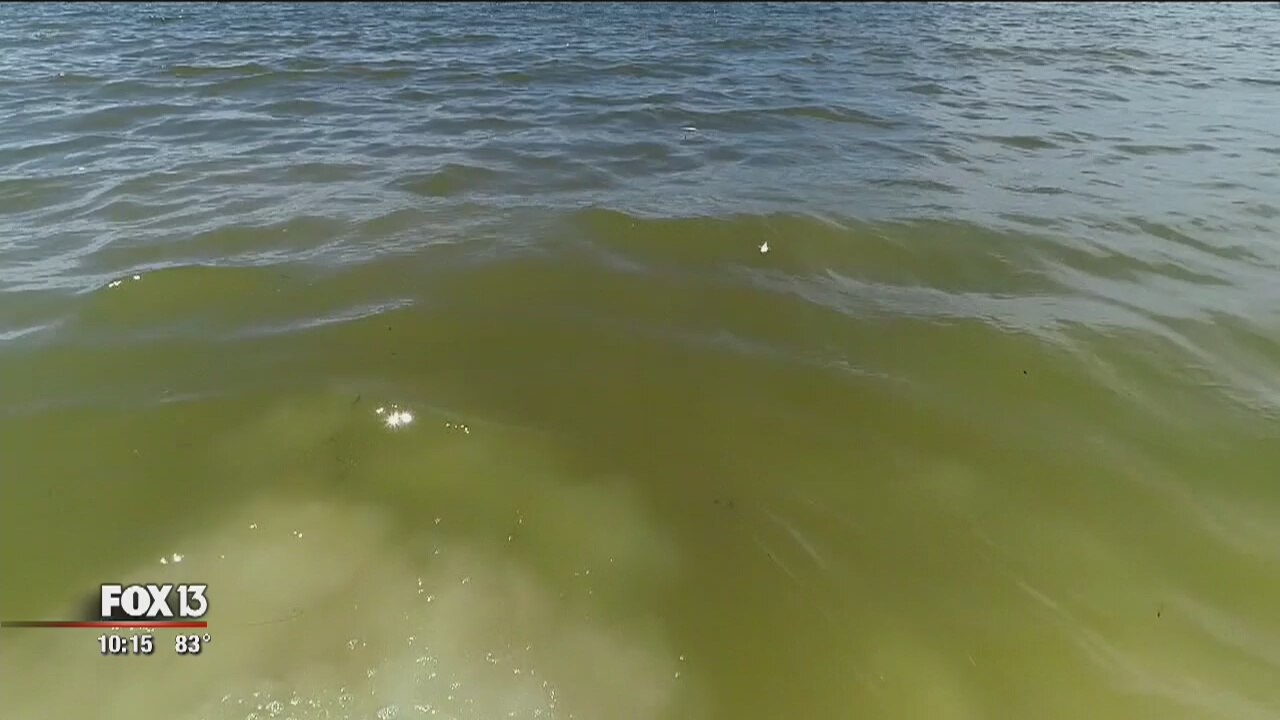 Pinellas business owners brace for red tide impacts