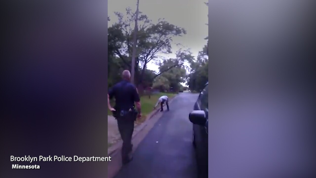 Dashcam: Man saves squirrel