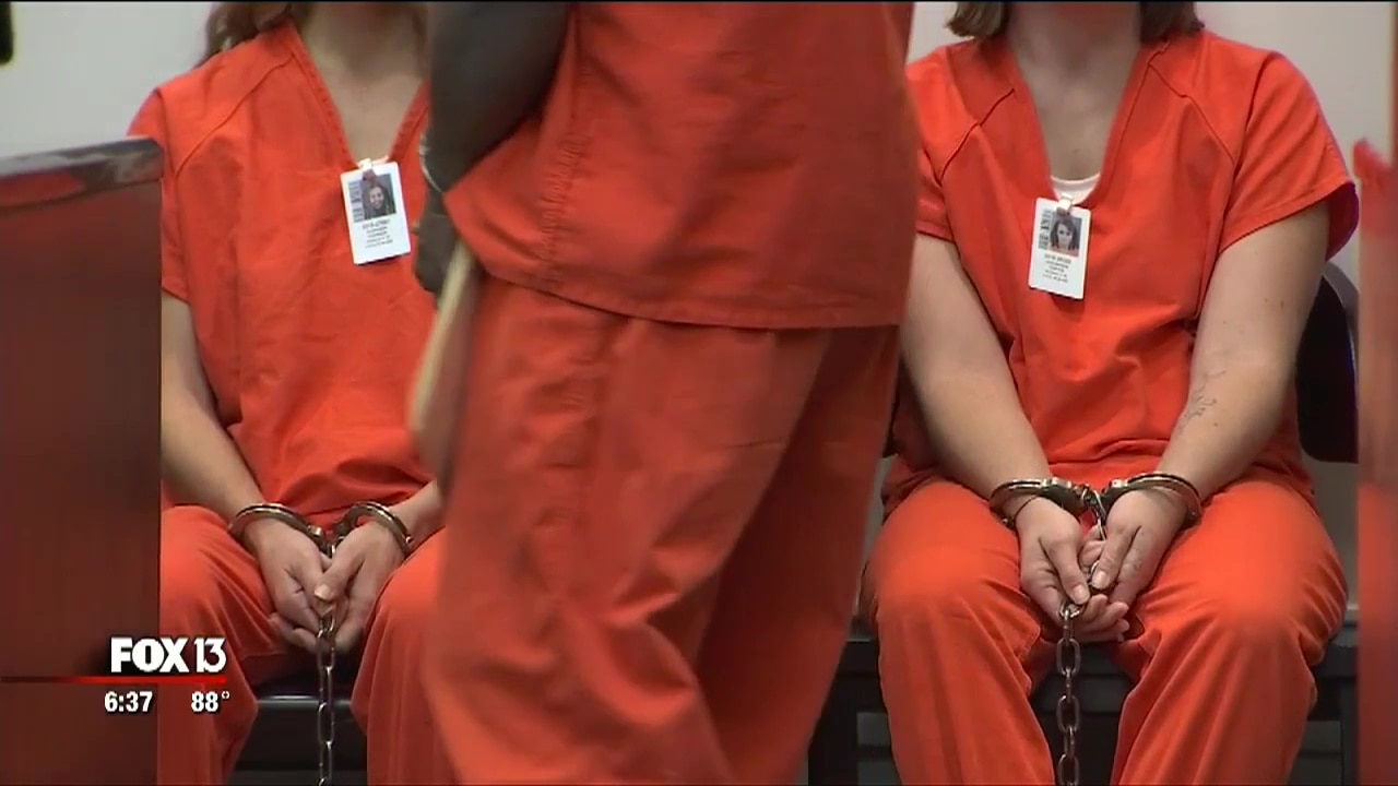 Amendment 4: Felon voting rights