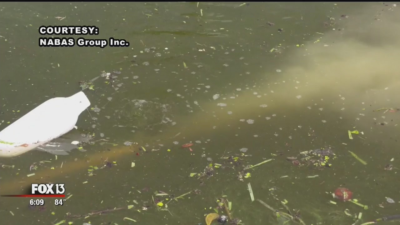 Ozone bubbles could stop red tide