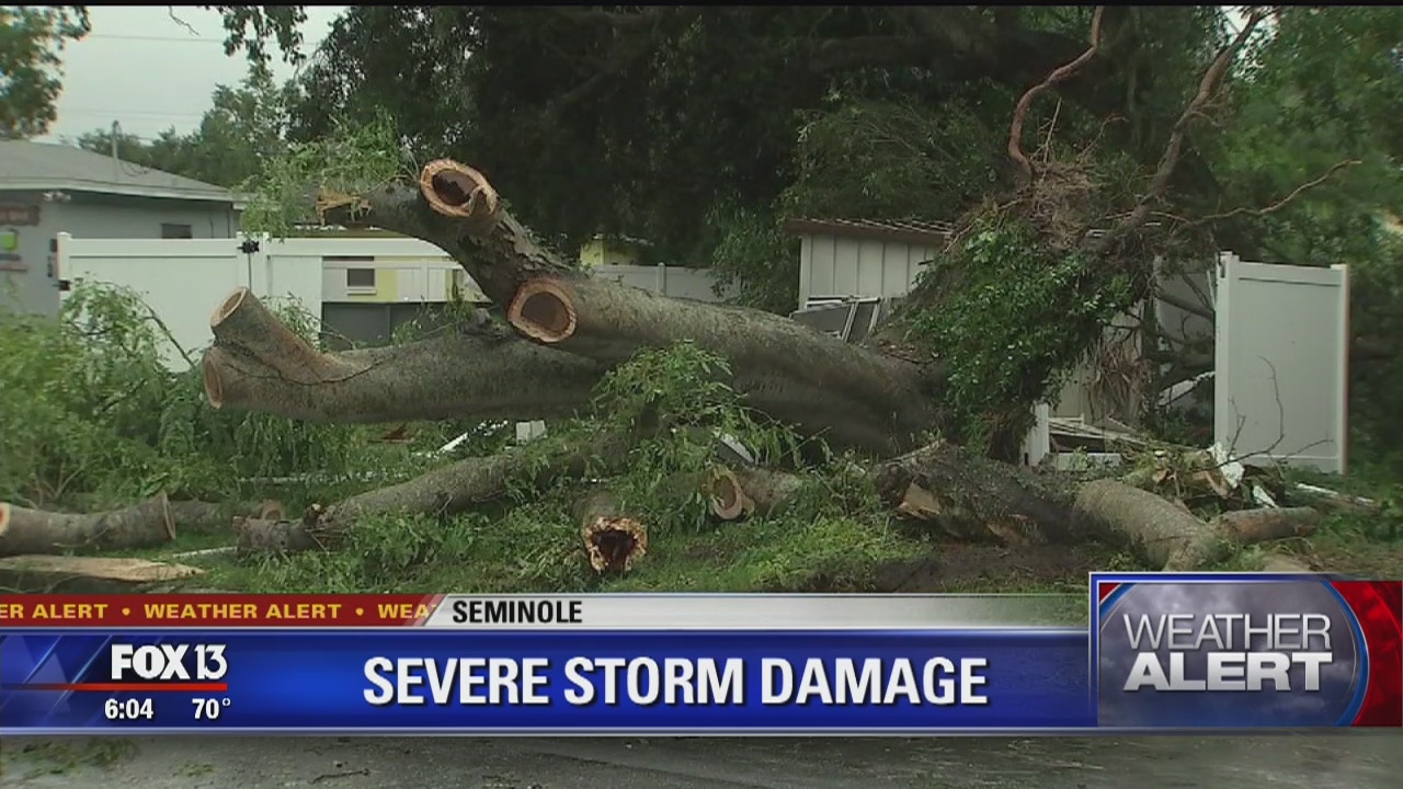 Storm damage in Seminole