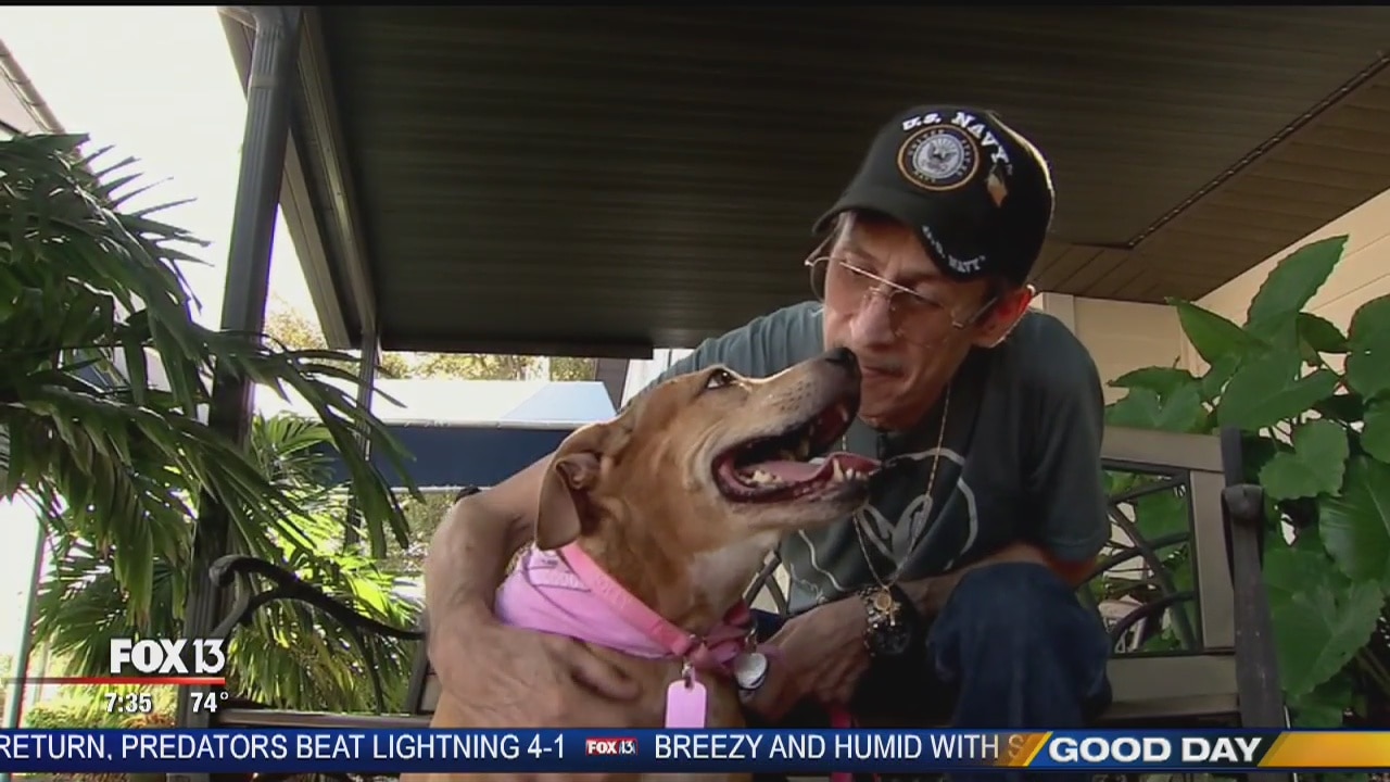 Hometown Heroes: Pets For Patriots