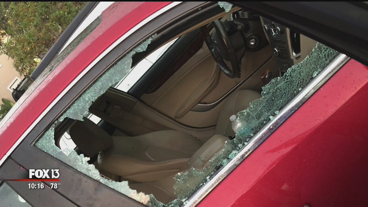 Woman injured in deputy-involved shooting in Palm Harbor