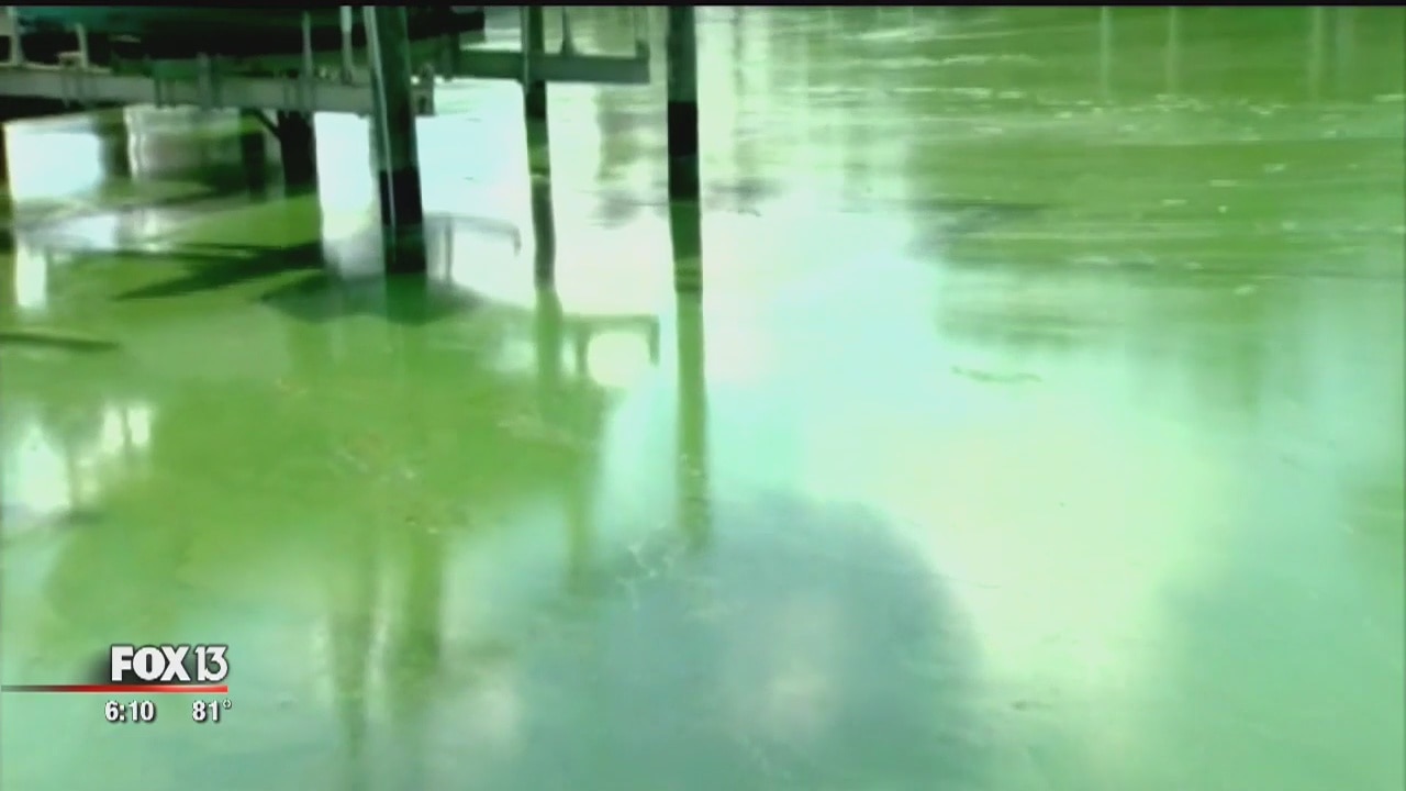 Local college students using algae to improve space travel