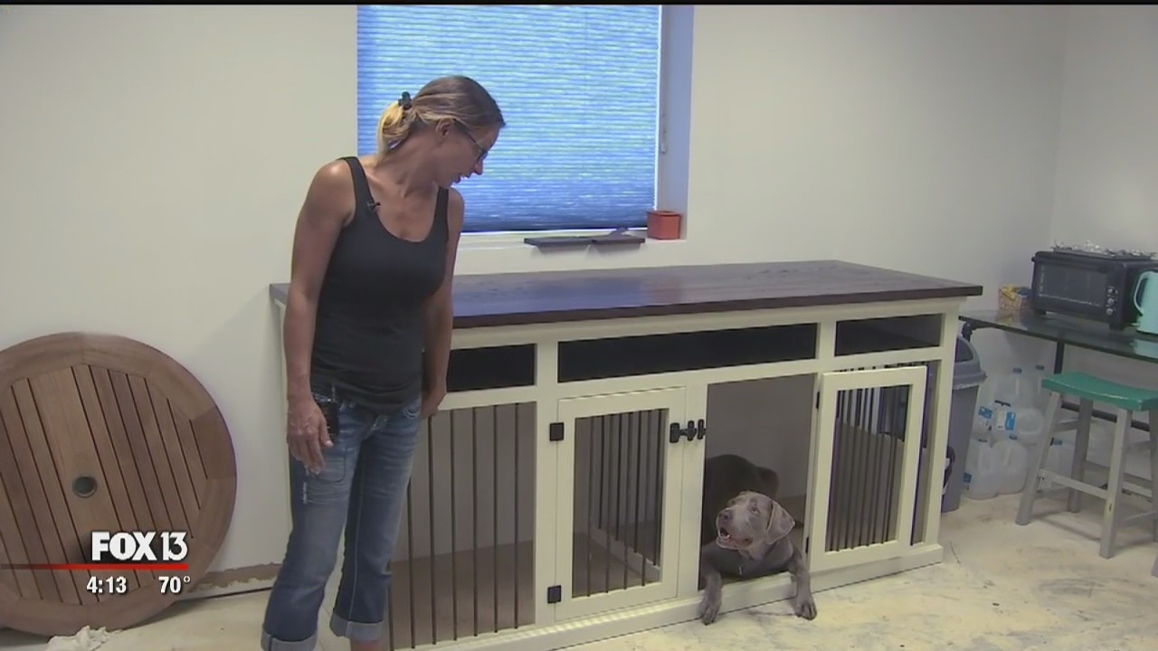 Made in Tampa Bay: Doggy decor