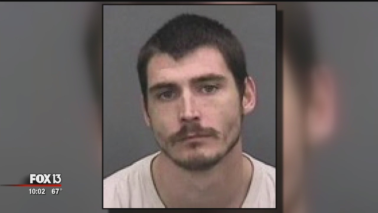 Tampa man wanted for hit-and-run found hiding under home