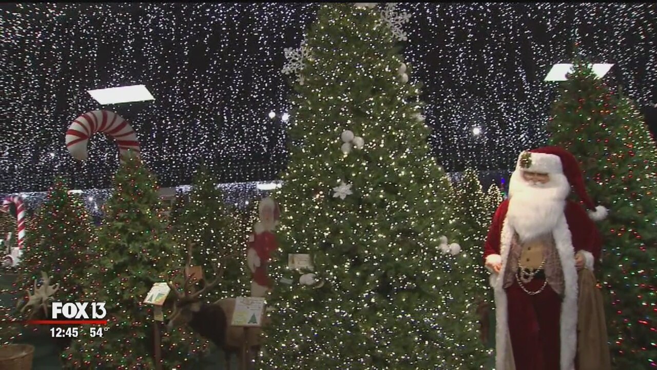 Robert's Christmas Wonderland