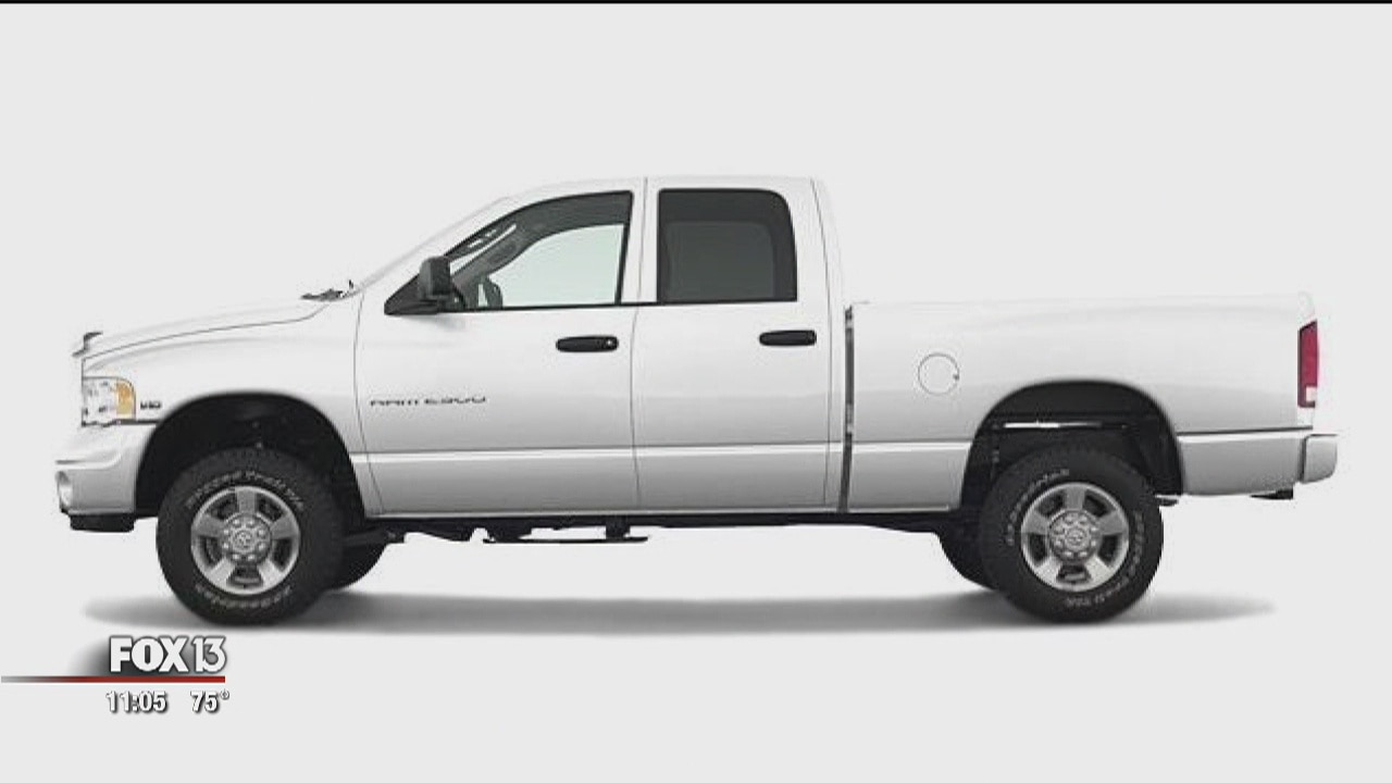 Witnesses saw white truck leaving hit-and-run crash