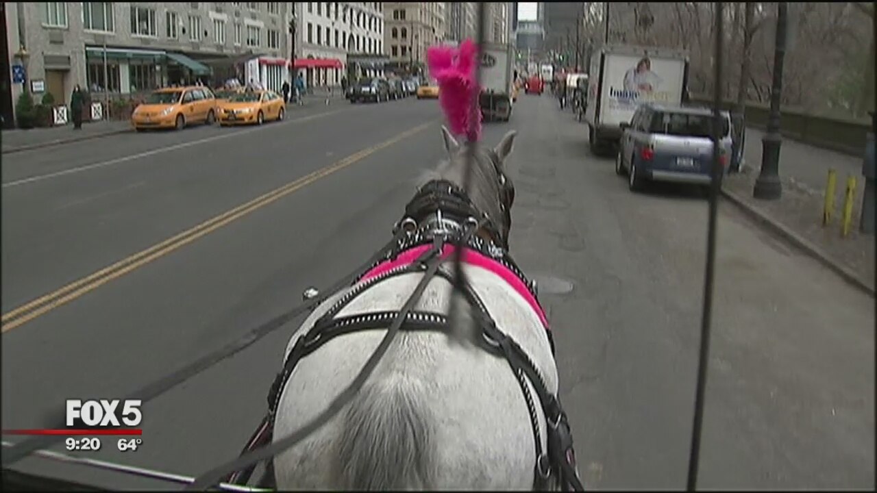 Carriage Drivers Get Raises