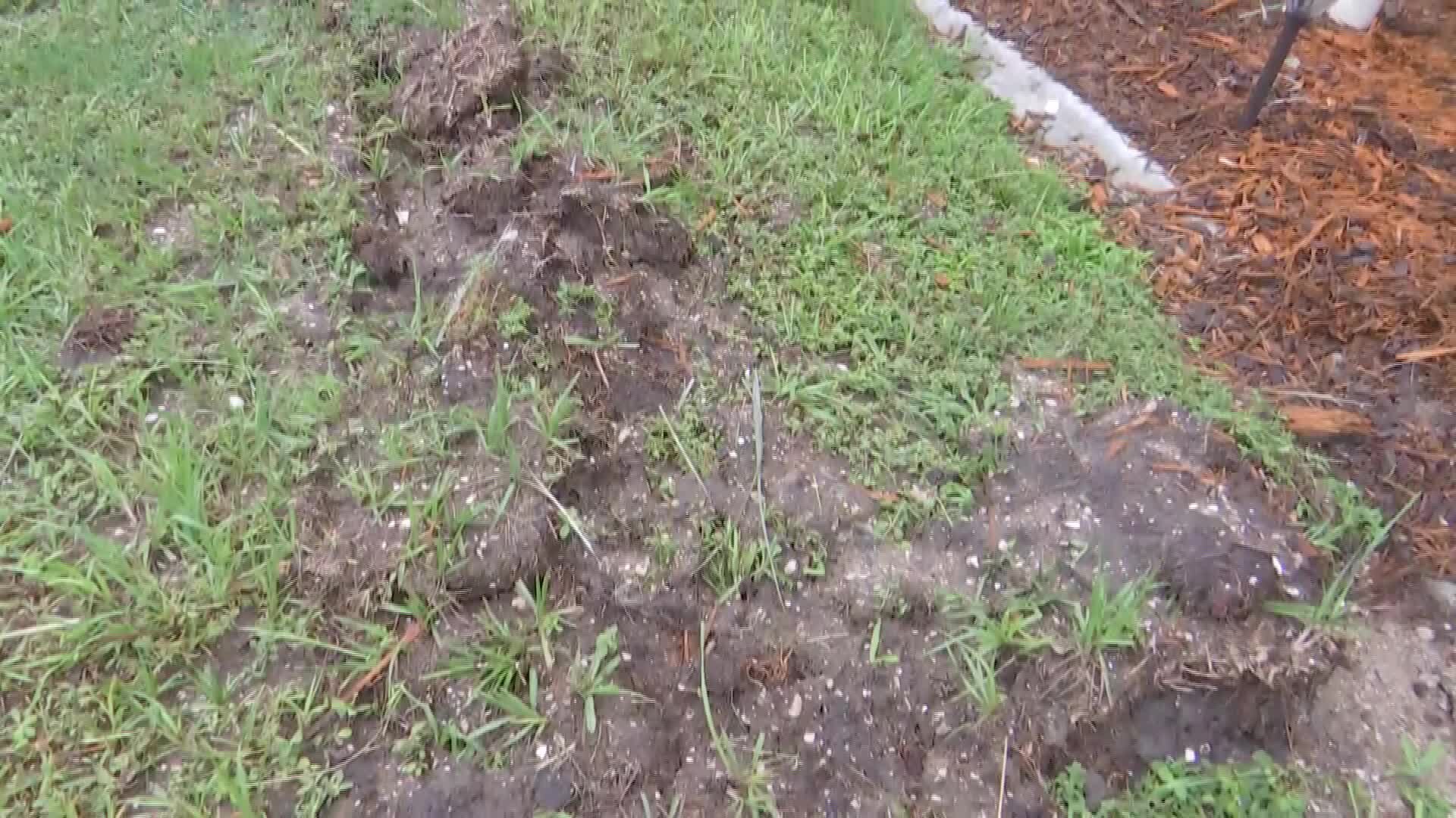 Lightning strike explodes toilet