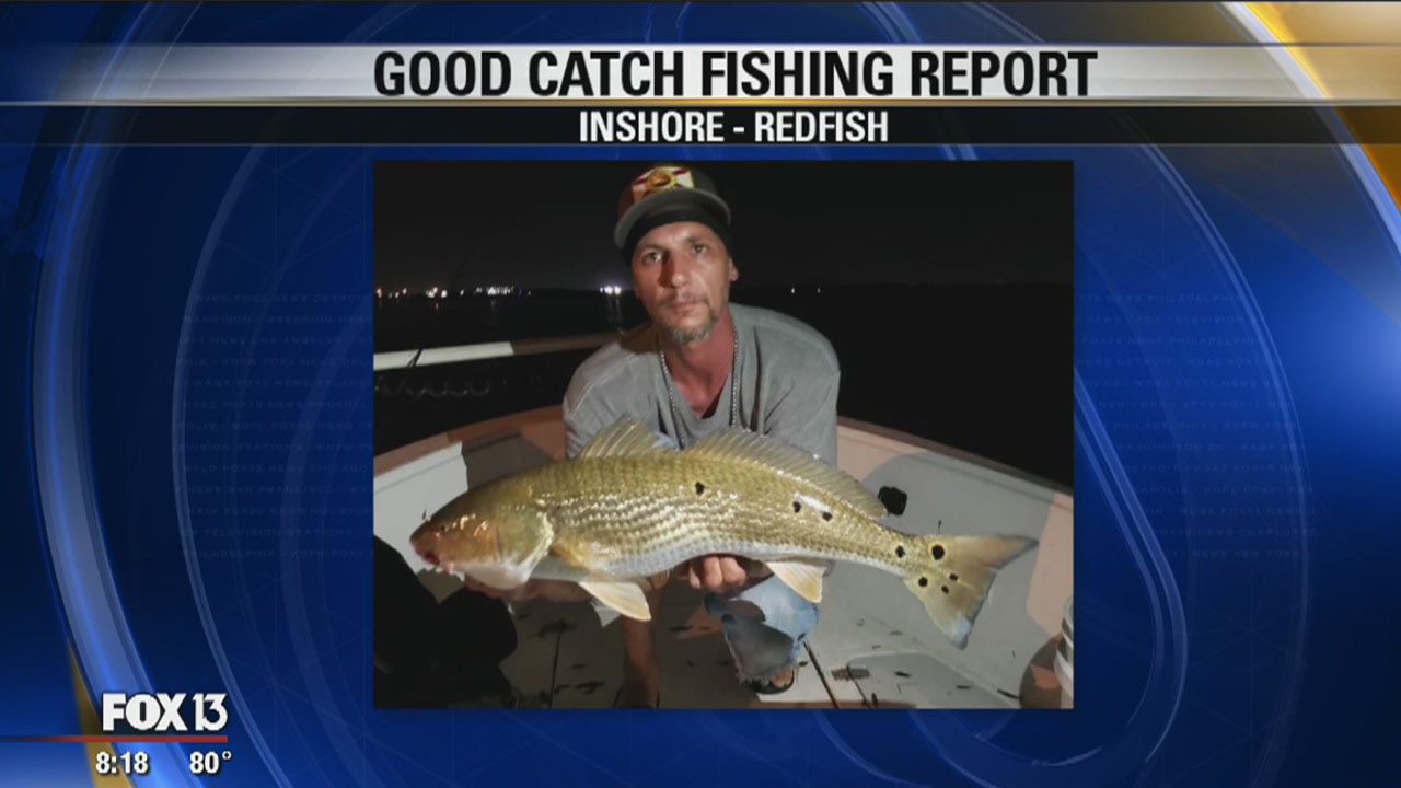 Good Catch: Lots of redfish action