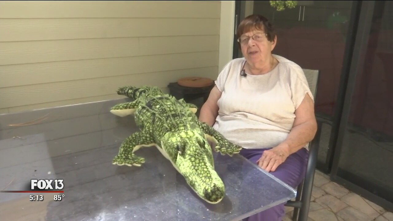 Woman whose home was damaged by 11-foot gator gets repairs