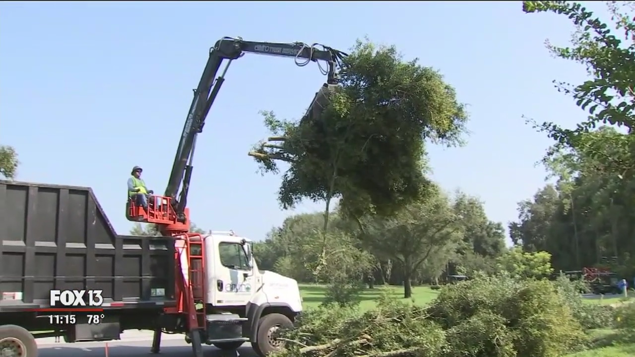 Volunteers with Saluting Branches help clean up military cemeteries