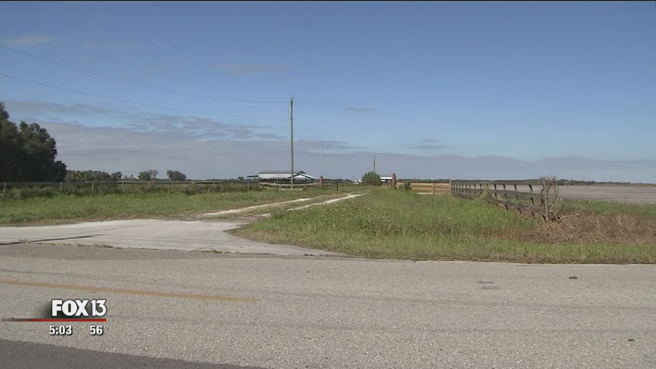 Deputies investigate horse slaughter