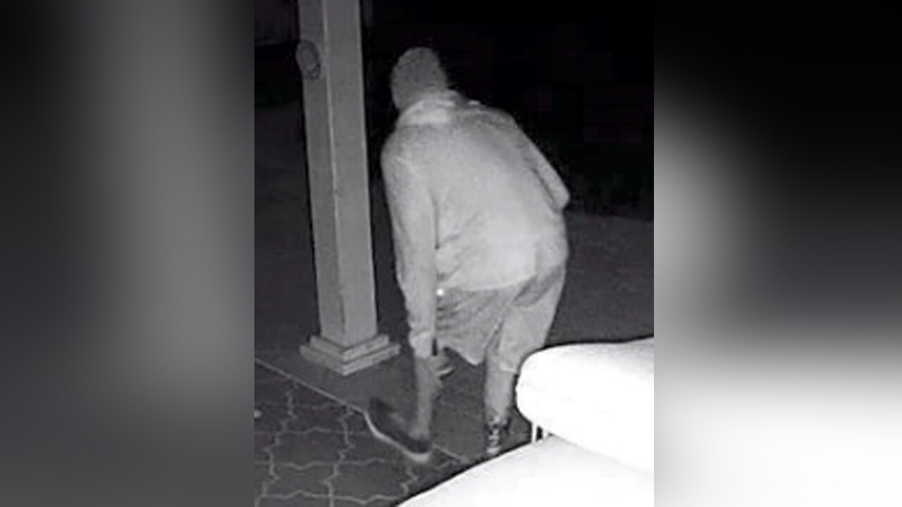 Search is on for art burglar
