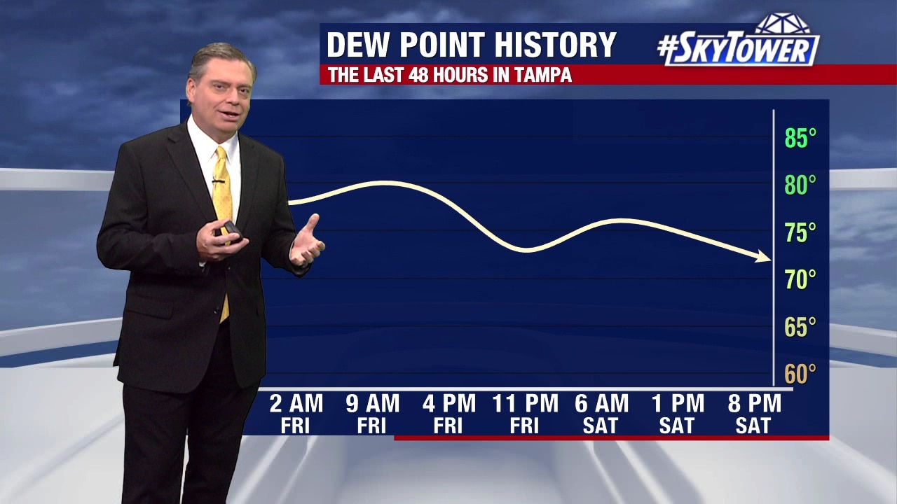 Saturday night forecast