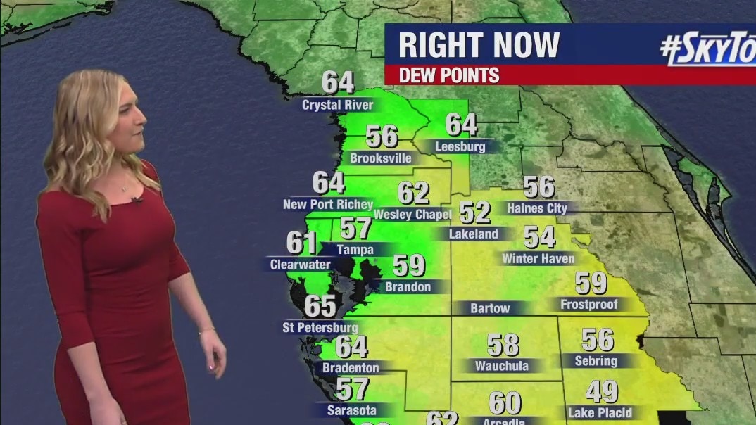 Sunday night forecast