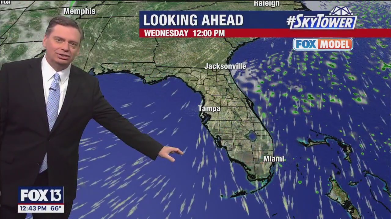 Tampa weather | Wednesday forecast and  beyond
