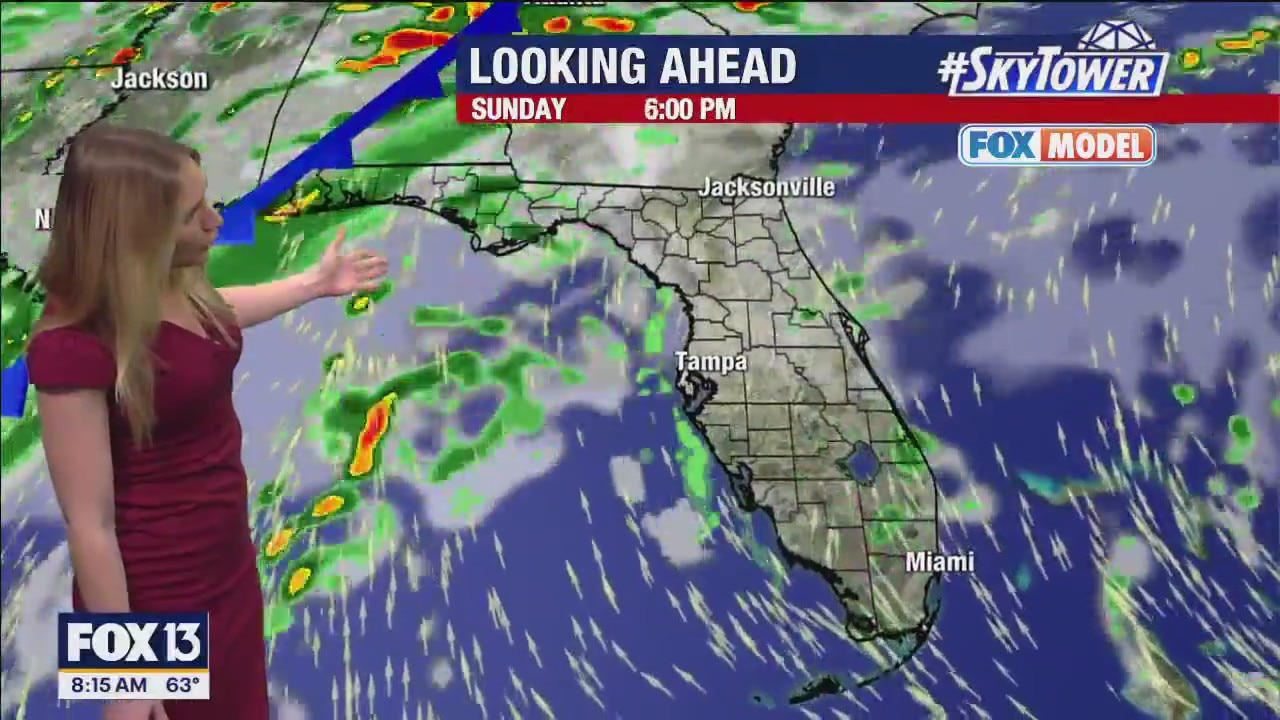 Tampa weather: Warm temps in Bay Area