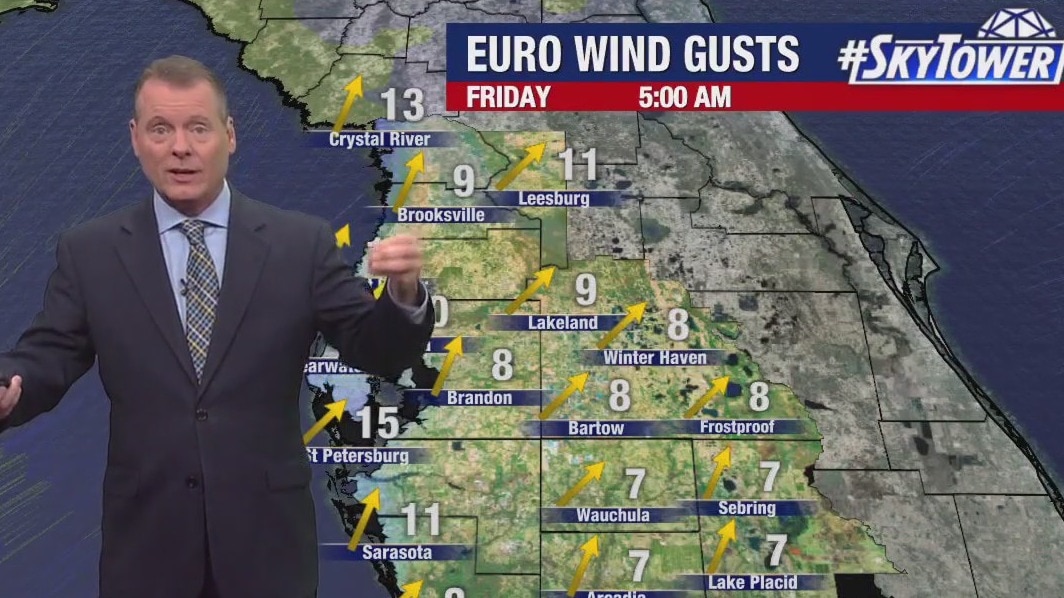 Tampa weather | windy, warmer day expected